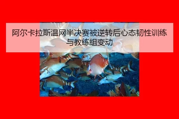 a-er-ka-la-si-wen-wang-ban-jue-sai-bei-ni-zhuan-hou-xin-tai-ren-xing-xun-lian-yu-jiao-lian-zu-bian-dong-2-962.jpg